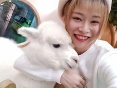 -藦茜花园宠物主题亲子互动体验馆(国顺东路店)