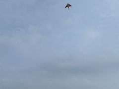 -杭州师范大学仓前新校区-体育场