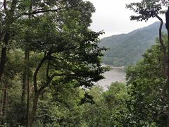 -黔灵山公园