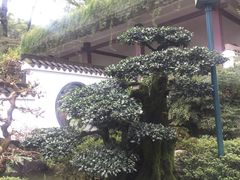 -南山植物园