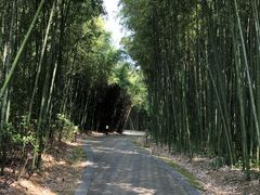 -苏州河梦清园环保主题公园