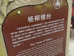 -桂湖森林公园