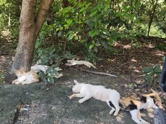 -敬亭山风景名胜区