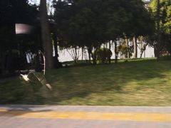 -唐城墙遗址公园