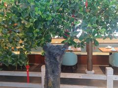 -三凤酒家·百年无锡菜(清扬茂业店)