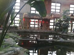 -南宫五洲植物乐园