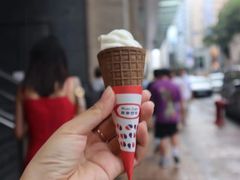 -富豪雪糕车流动点(尖沙咀)