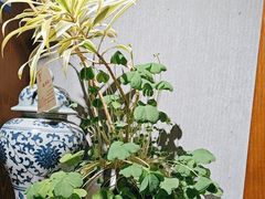 -陈熹公民族美食文化餐厅(中华广场店)