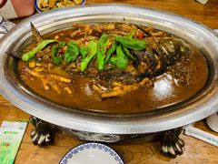中原黄河大鲤鱼-大地烙馍村(商城路店)