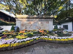 -上海醉白池公园