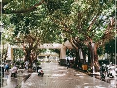 -海南热带海洋学院(三亚校区)
