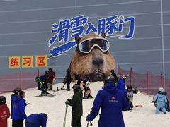 -广州热雪奇迹