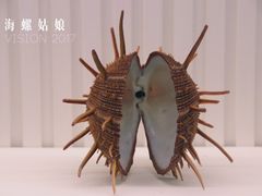 -青岛贝壳博物馆