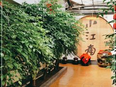 -小江南(老洋桥店)