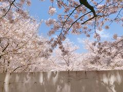 -龙美术馆(西岸馆)