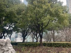 -陆家嘴中心绿地