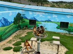 -西霞口神雕山野生动物世界