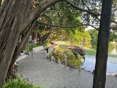 -荔湾湖公园