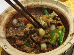 九层塔生啫牛肉-天宝食坊·啫啫煲大排档(西华路店)