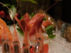 -上井料理黑金店(IFS国金中心店)
