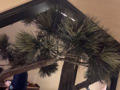 -桂满陇·锦绣江南(益田广场店)