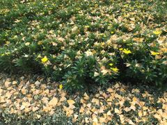 -苏州河梦清园环保主题公园