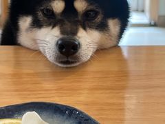-柴の食堂·日式家庭料理·熊之肆(大学路店)