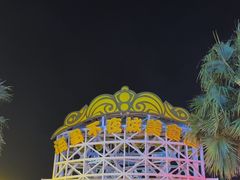 -三亚海昌梦幻海洋不夜城