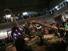 -自贡恐龙博物馆