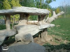 -北京野生动物园