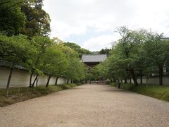 -醍醐寺