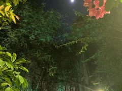 -一粥(华侨城创意文化园店)