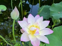 -浙江大学(玉泉校区)