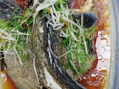-盒马渔市(平高企业集团·平高广场店)