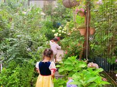 -大隐花事(熊婆婆的花园店)