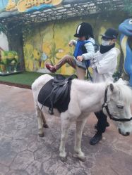 -宝燕乐园(闵行旗舰店)