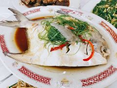 鲳鱼-老三鱼仔店