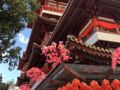 -新加坡佛牙寺龙华院