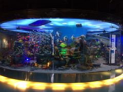 -成都泰迪熊博物馆