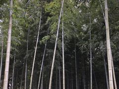 -同里国家湿地公园