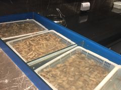 -星伦多海鲜自助餐厅(万达百货店)