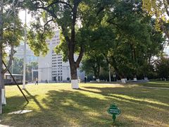 -长沙市青少年宫