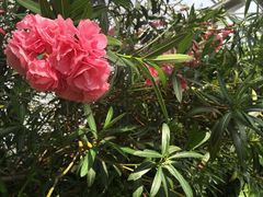 -北京植物园-展览温室