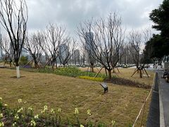 -两江幸福广场