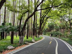 -采石矶景区