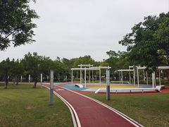 -厦门国家会计学院