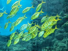 -福州罗源湾海洋世界旅游区