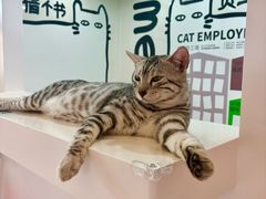 -天河领展广场