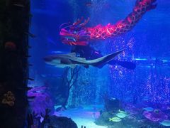 -沈阳海洋探索中心