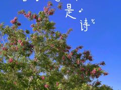 -海合安天津极地海洋公园